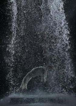 Bill Viola, Tristan’s Ascension (2005)