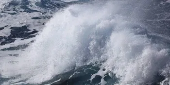 Los "cuarenta locos"