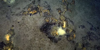 Fuentes termales en el Ártico