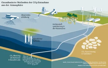 El océano como almacén de carbono