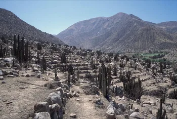 Terrazas agrícolas andinas a 1.700 metros de altitud