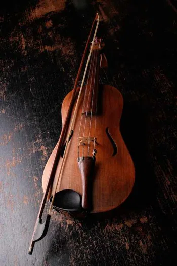 Violín