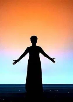Norma según Wilson