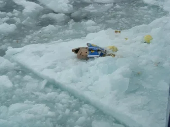Basura en un témpano de hielo marino del Ártico