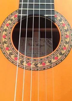 Guitarra flamenca