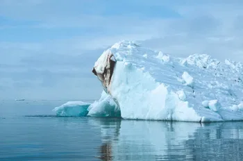 El Ártico está pletórico de vida