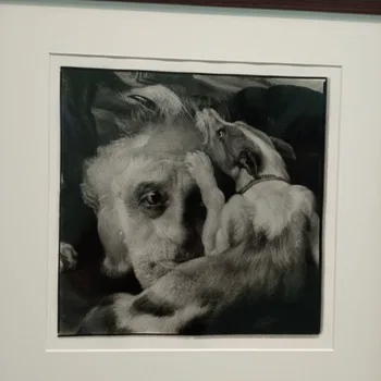 'Fantasías en el Prado' de García-Alix