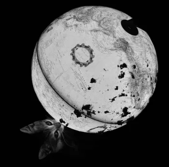 Los juegos del hambre