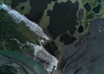 Maderas a la deriva en las costas árticas