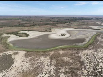 Aspecto actual de la laguna de Santa Olalla, la mayor de las lagunas permanentes de Doñana. 