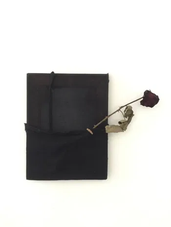 ST. de la serie Espacios de trabajo