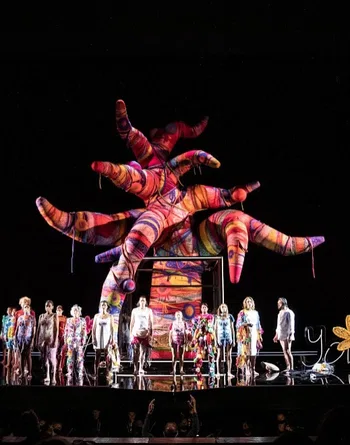 de Beer, Le nozze di Figaro