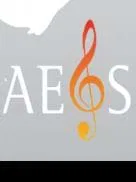 Componiendo horizontes, Jornadas AEOS sobre la crisis de público de la música sinfónica                    