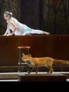 Zorras y tiburones en el bosque de la vida                                                                 