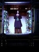 Pepita sale del armario                                                                                    