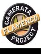 Concierto de la Camerata Flamenco Project  en Madrid                                                       