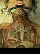 Poulenc en La pensión de las pulgas                                                                        