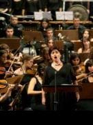 Tambores, lides, albas, noches y guerras                                                                   