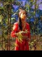 Dream of the Red Chamber tour performances                                                                 