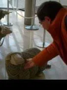 El próximo lunes 8, festivo en Mundoclasico.com                                                            