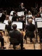 Cuadros de Gergiev                                                                                         