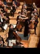 Cuando el precedente sirve                                                                                 