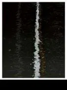 Andreas Gursky, un "compositor" que "pinta"                                                                