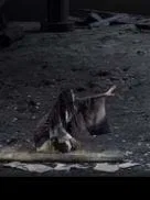 Quien no habla de la actualidad es porque no quiere                                                        