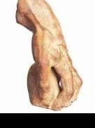 Michelangelo, "el divino"                                                                                  