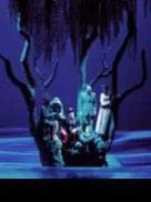 Los sobrinos del Capitán Grant para adultos                                                                