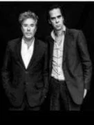 Shell Shock: Overwhelming Beauty                                                                           