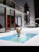 Rossinian dolce vita                                                                                       