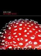 Trascender la escritura                                                                                    