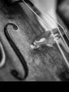 Ganadores del Concours Reine Élisabeth: violín