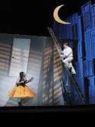 Excelente protagonista en Don Pasquale                                                                     