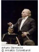 Imponente, pero no tanto                                                                                   