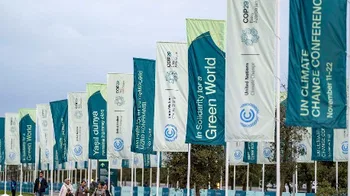 Conferencia de las Naciones Unidas sobre el Cambio Climático COP29