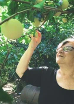 Marita Fornaro