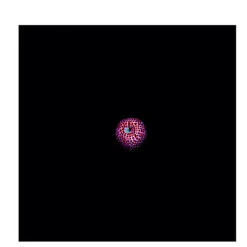 Ni de Eva ni de Adán