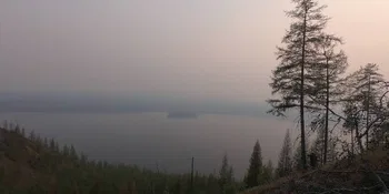 Paleosistema forestal