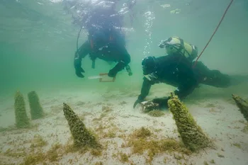 Arqueología submarina en el lago Constanza