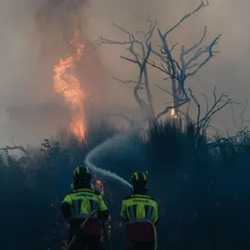 Mientras los bosques arden, los políticos se culpan mutuamente