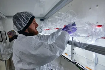 Estudio in vitro del crecimiento de microalgas 