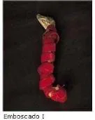 ---