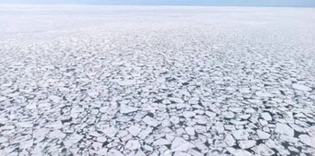 El hielo marino del Ártico es un foco de biodiversidad