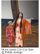 Desapasionada Butterfly                                                                                    