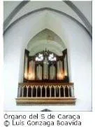 El órgano en Brasil                                                                                        
