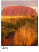 Las orquestas australianas tendrán que reducir costes para sobrevivir                                      