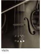 El violín de Mozart                                                                                        