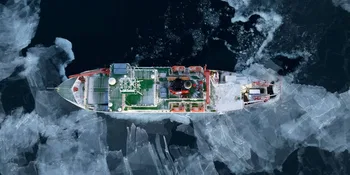 El Polartern cerca de Groenlandia